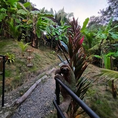 Glamping Tomaselli Hotel Manuel Antonio Buitenkant foto